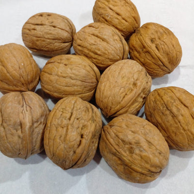 Shelled Walnut