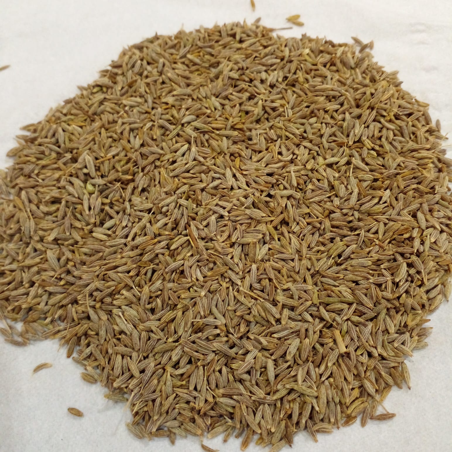 Cumin Seeds